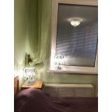 Настольная лампа Астра №1 зеленая в Подольске Настольная лампа Астра №1 зеленая в Подольске