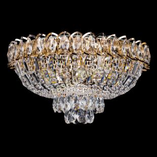 Астра Бутон