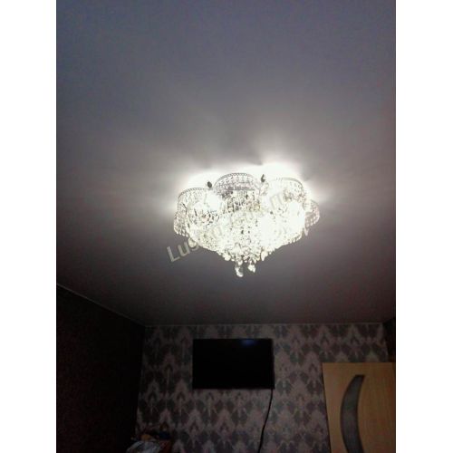 Люстра Камея №1 в Подольске Гусь Хрустальный